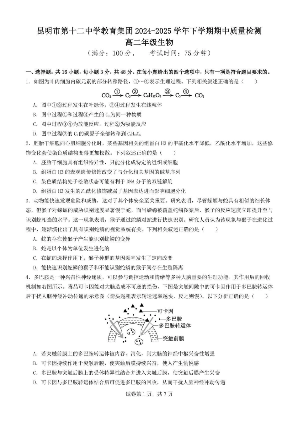 云南昆明市第十二中学教育集团2024-2025学年高二下学期期中质量检测生物试题（含答案）_副本.pdf_第1页