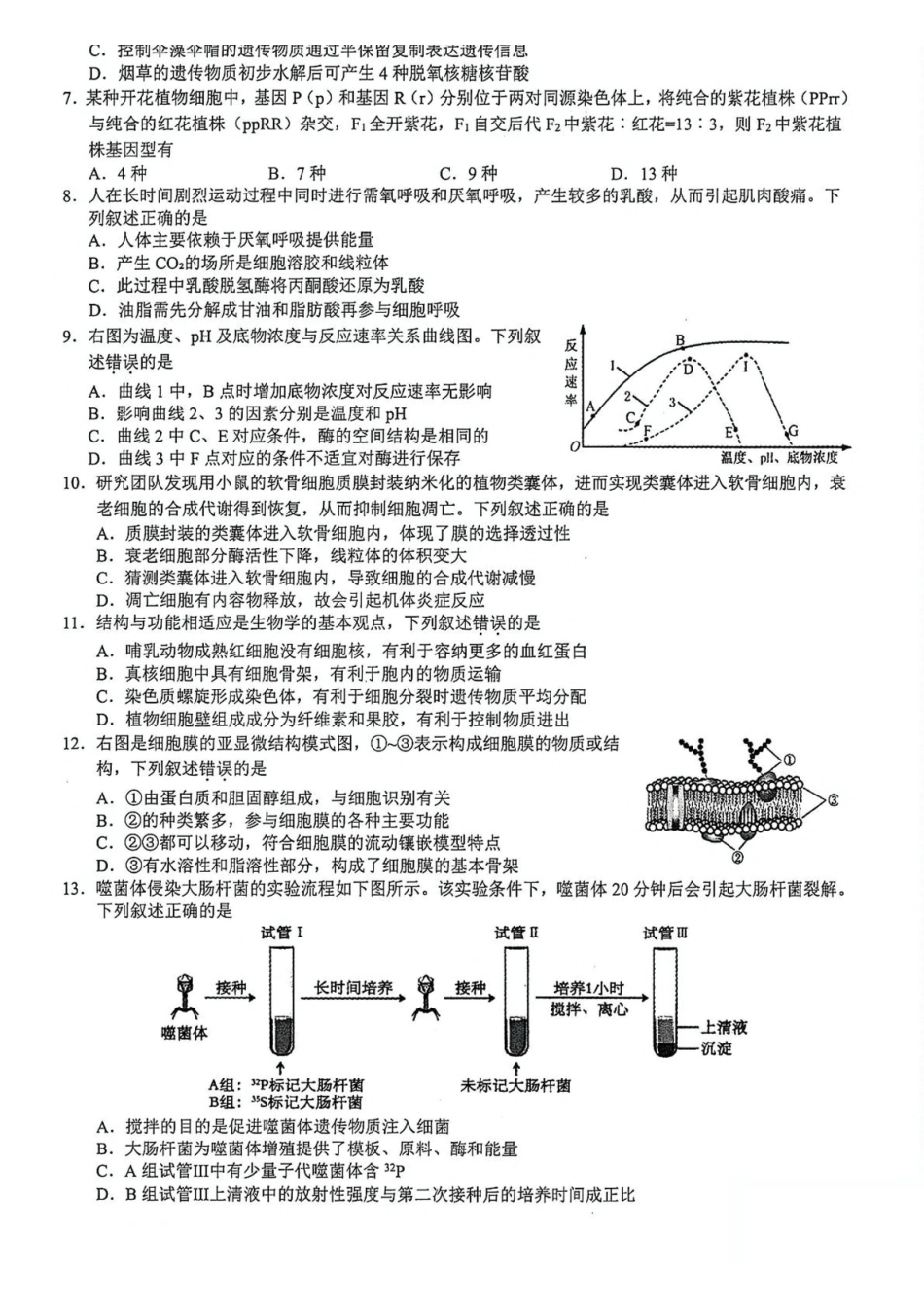 浙江91高中联盟2024-2025学年高一下学期4月期中考试生物含答案_副本.pdf_第2页