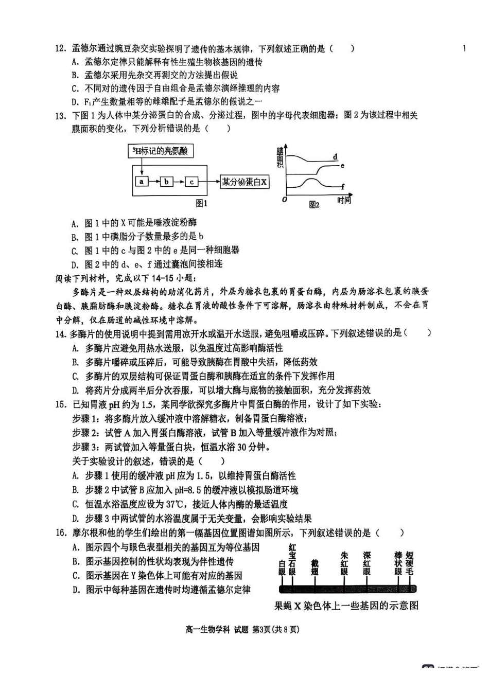 浙江G5联盟2024-2025学年高一下学期期中考试生物试题_副本.pdf_第3页