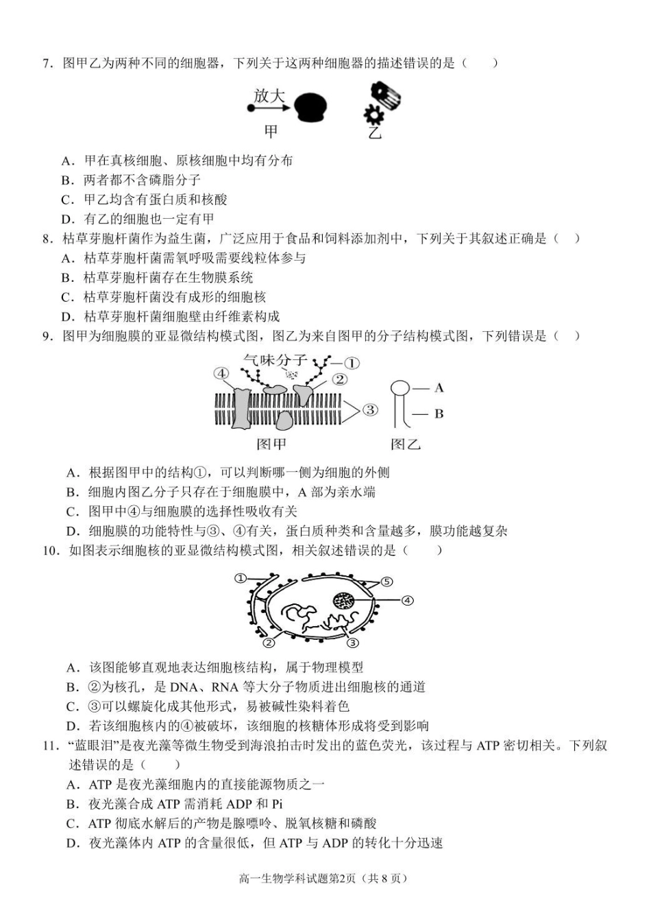 浙江温州市环大罗山联盟2024-2025学年高一下学期期中考试生物含答案_副本.pdf_第2页