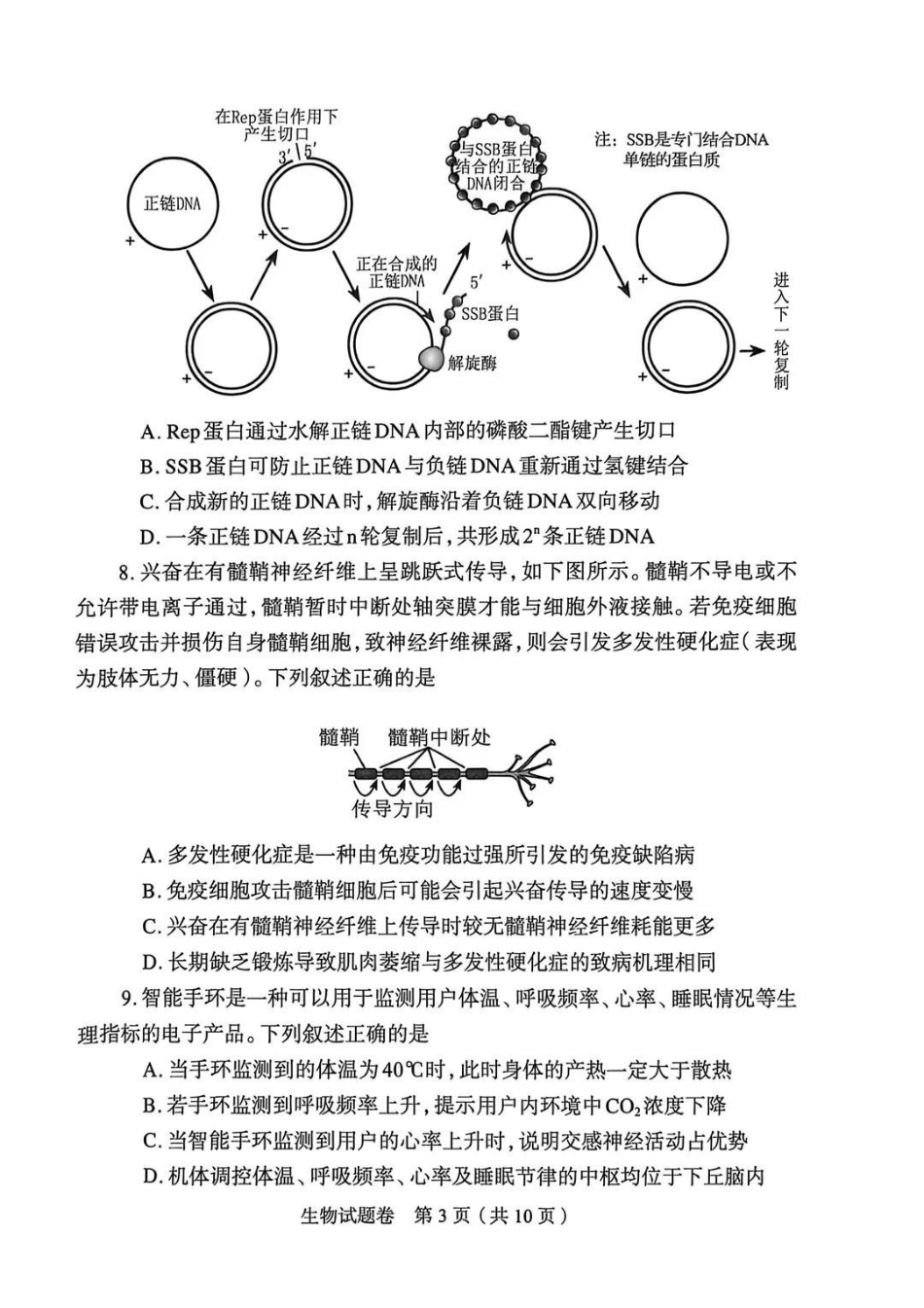 郑州市2026年高中毕业年级第二次质量预测生物.pdf_第3页