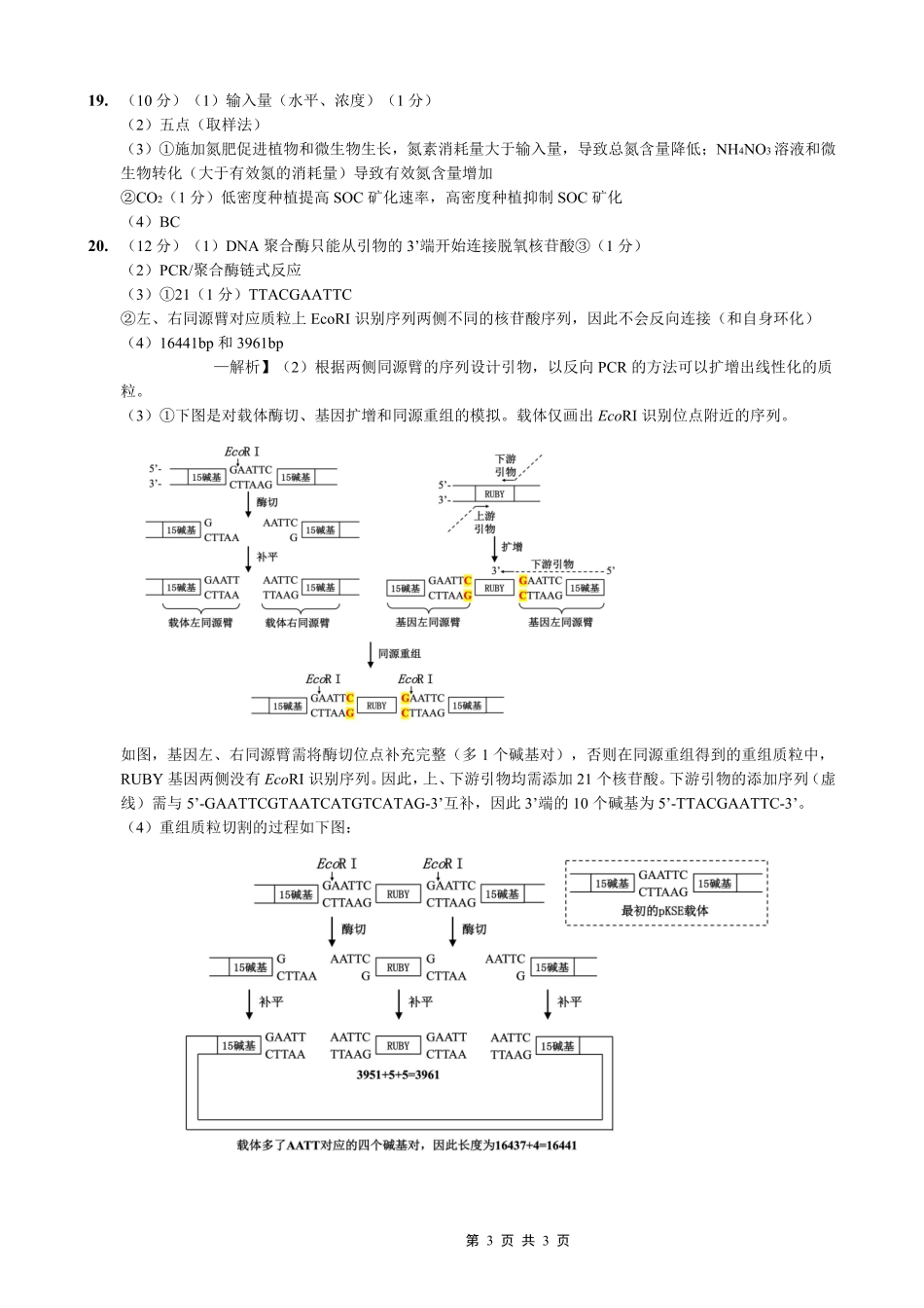 重庆一中高2026届高三下学期4月二诊考试生物答案.pdf_第3页