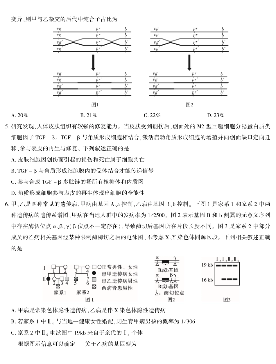 2026届高三4月模拟考试生物.pdf_第2页