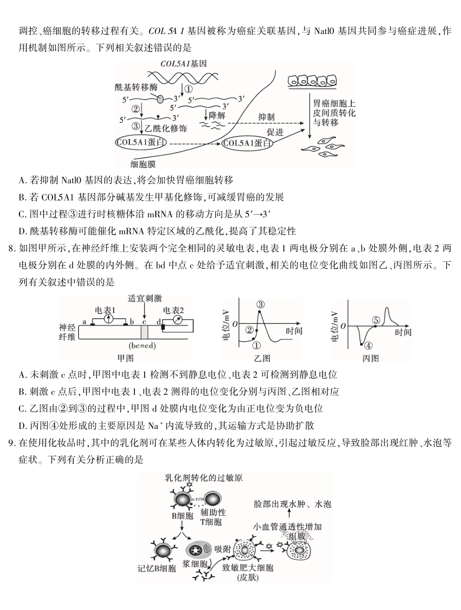 2026届高三4月模拟考试生物.pdf_第3页