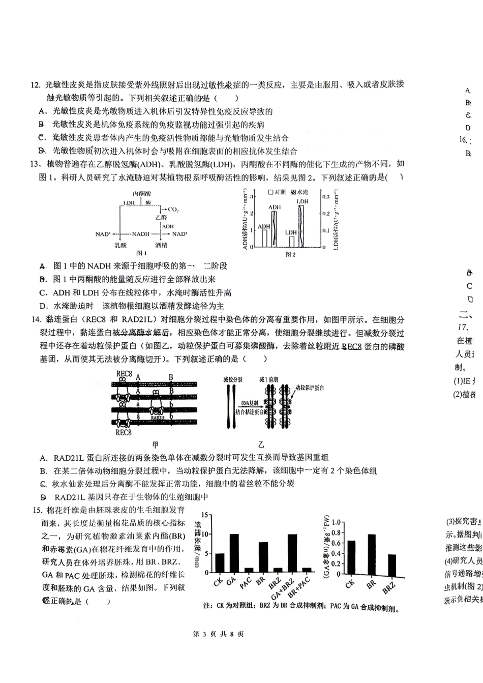 2026届高三揭阳二模生物试卷.pdf_第3页