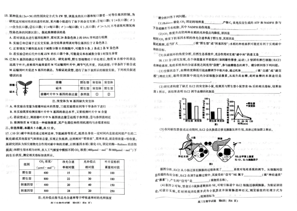 2026年信阳市高中毕业年级第二次质量检测(四模)生物.pdf_第3页
