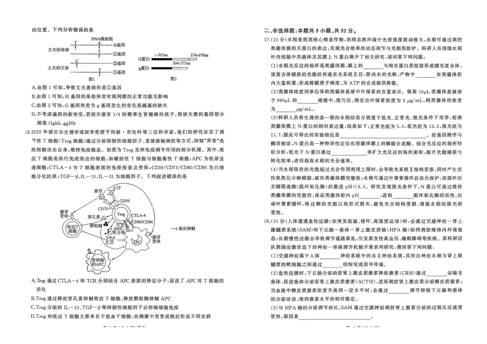 百师联盟2026届高三4月22日适应性模拟考试_生物学.pdf_第3页