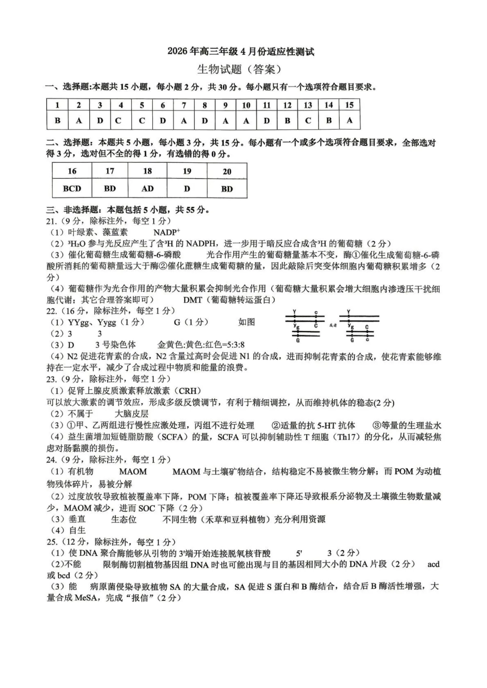 东营市2026年高三年级4月份适应性测试生物答案.pdf_第1页