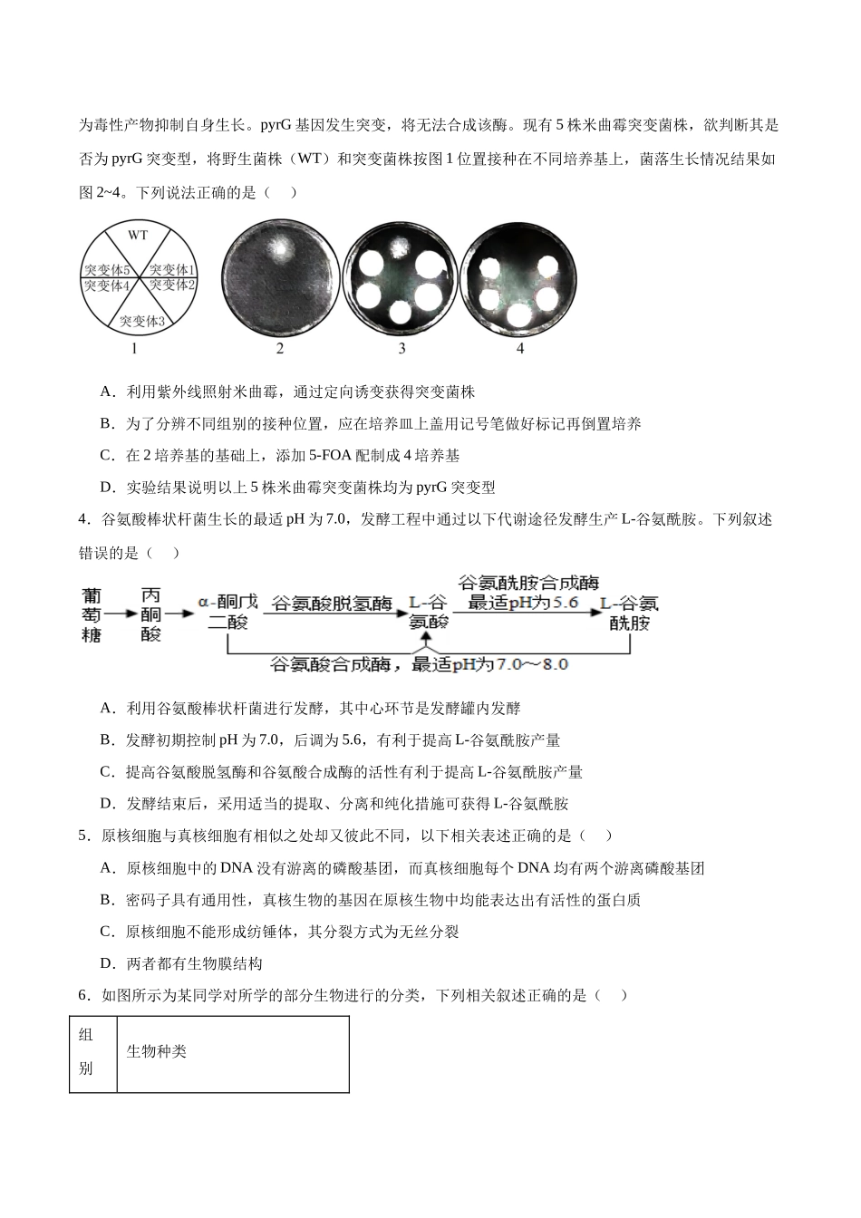 福建厦门双十中学2024-2025学年高二下学期4月期中考试生物含答案_副本.docx_第2页