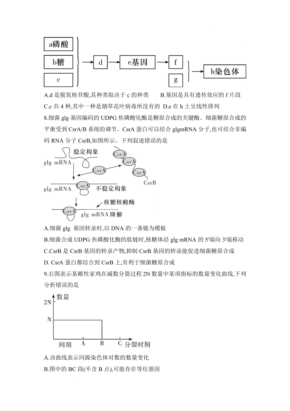 湖南长沙市第一中学2024-2025学年高一下学期期中考试生物试题.pdf_第3页