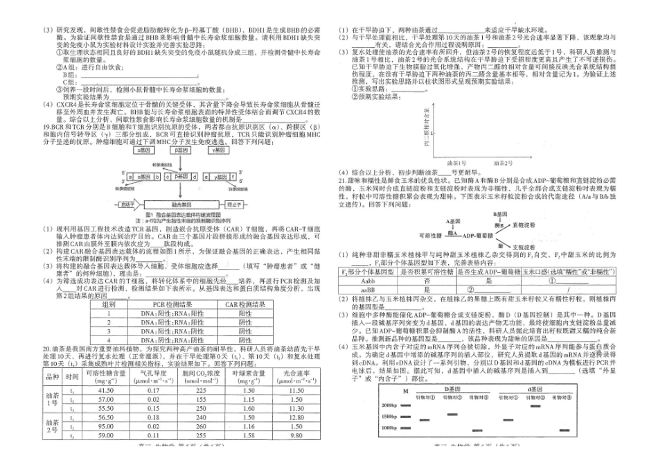 江西南昌市2026届高三年级四月检测生物试题江西南昌市2026届高三年级四月检测生物试题.pdf_第3页