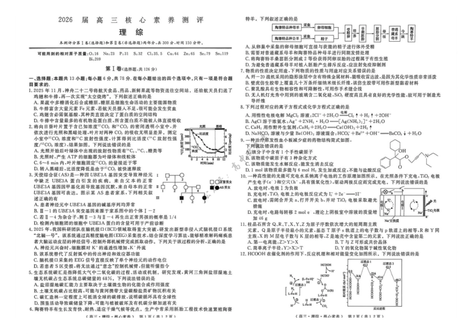 理综新疆维吾尔自治区文海大联考G20示范高中联盟2026届高三年级核心素养测评(文海三模)（4.22-4.23）(2).pdf_第1页