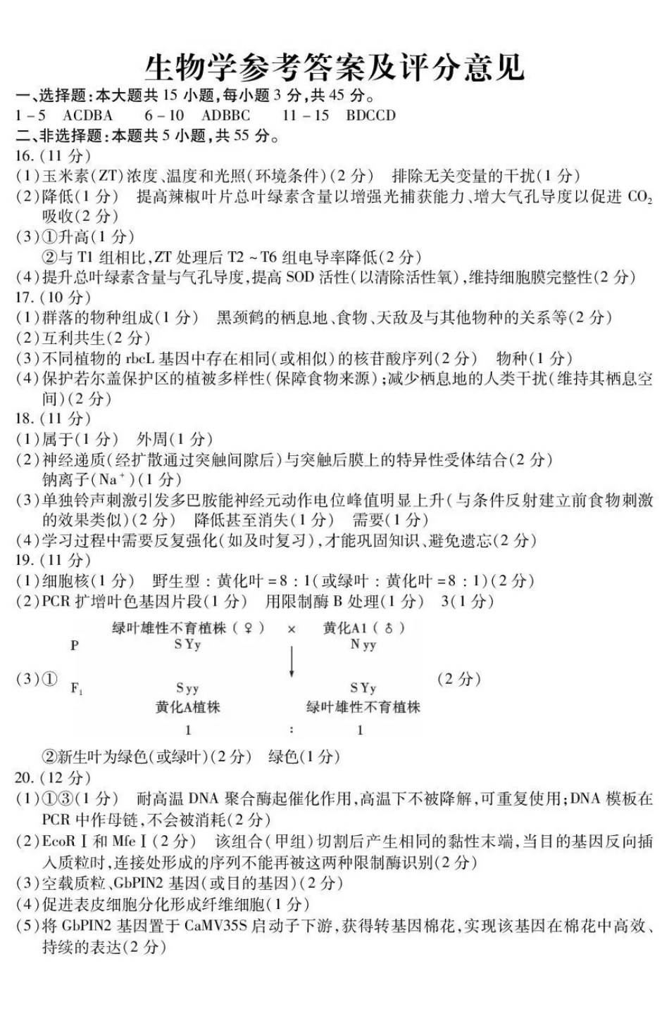 内江市高2026届适应性训练试题生物答案.pdf_第1页