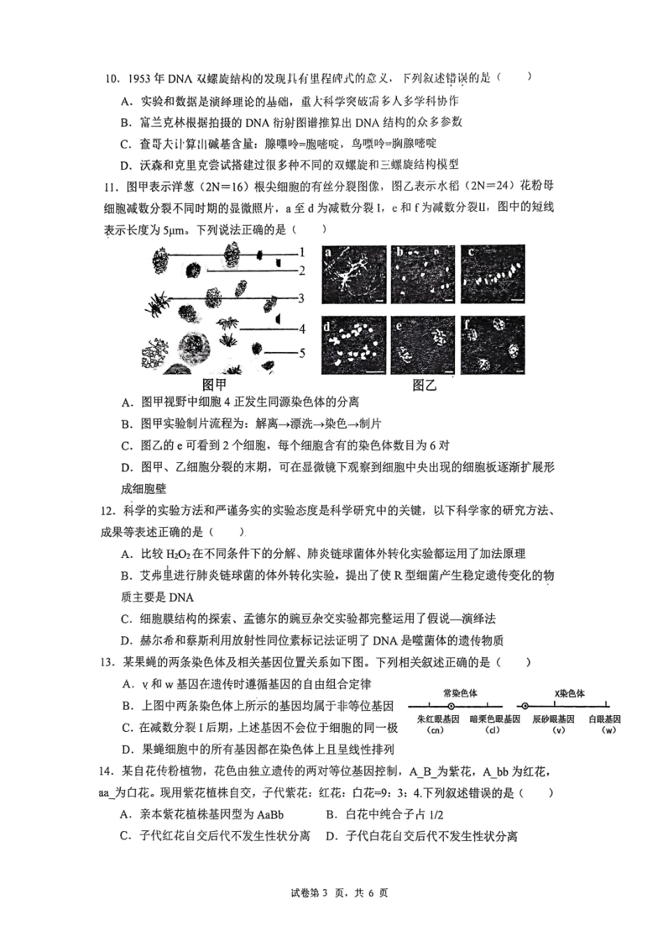 深圳市聚龙科学中学2025-2026第二学期高一年级第一阶段质量监测生物试卷.pdf_第3页