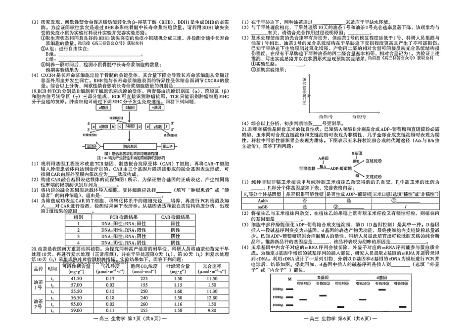 生物()江西南昌市2026届高三年级四月检测(南昌高三二模)(4.23-4.24).pdf_第3页