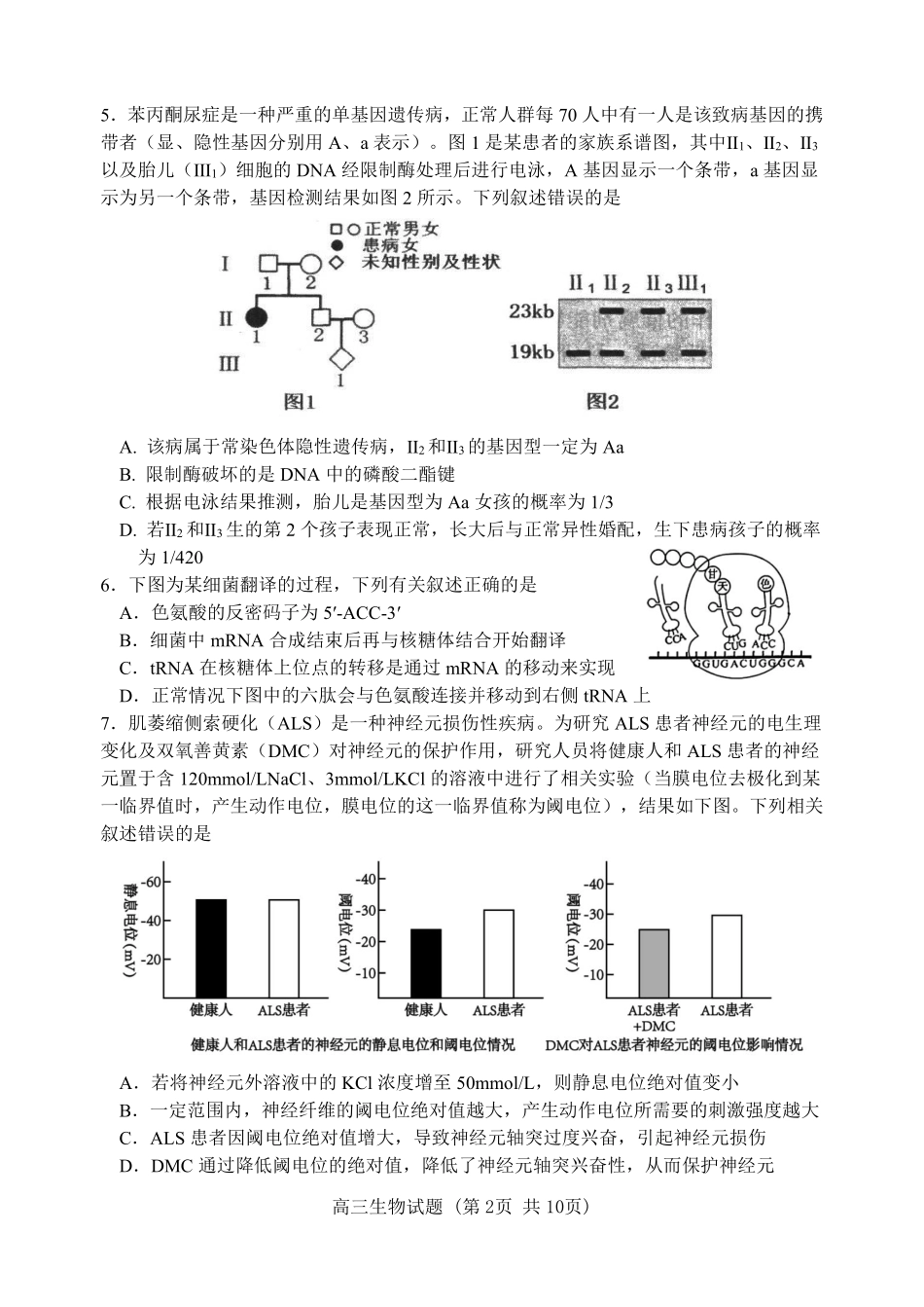 生物+答案江苏苏北六校G6(苏州实验中学、徐州一中、宿迁中学等)2026届高三4月联考(4.24-4.25).pdf_第2页