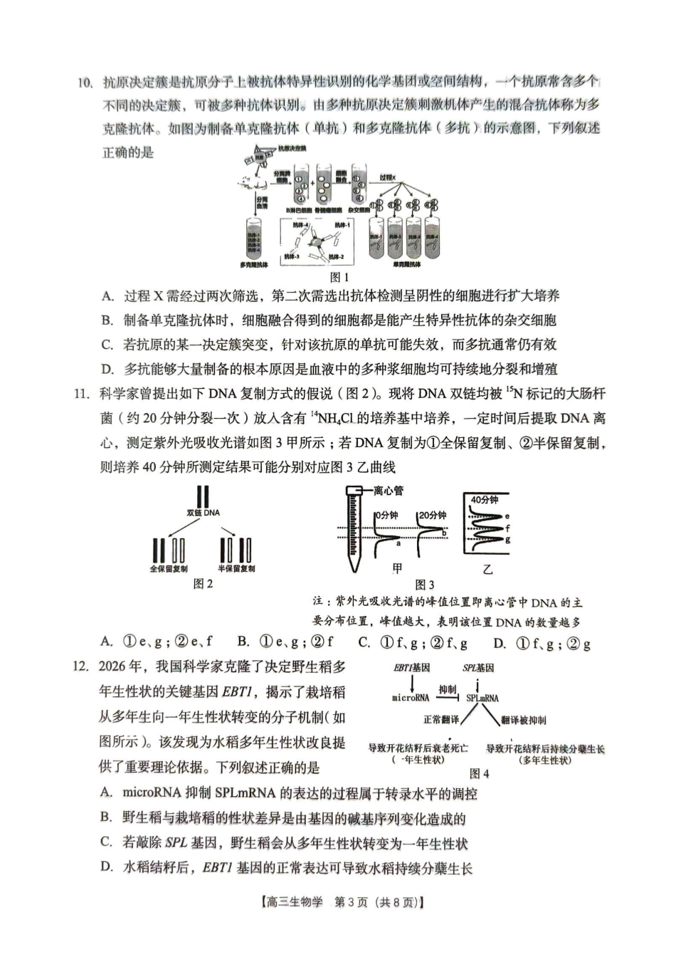 生物广西壮族自治区南宁市2026年4月毕业班高三年级教学质量调研(南宁三模)(4.21-4.23).pdf_第3页