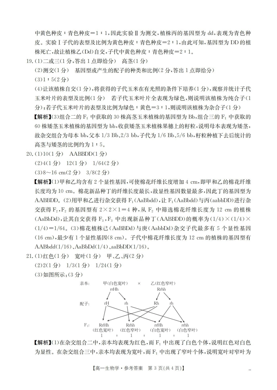 生物河南南阳市南阳区域金太阳联考2026年春季高一年级阶段性学情检测(4.16-4.17)_副本(1).pdf_第3页