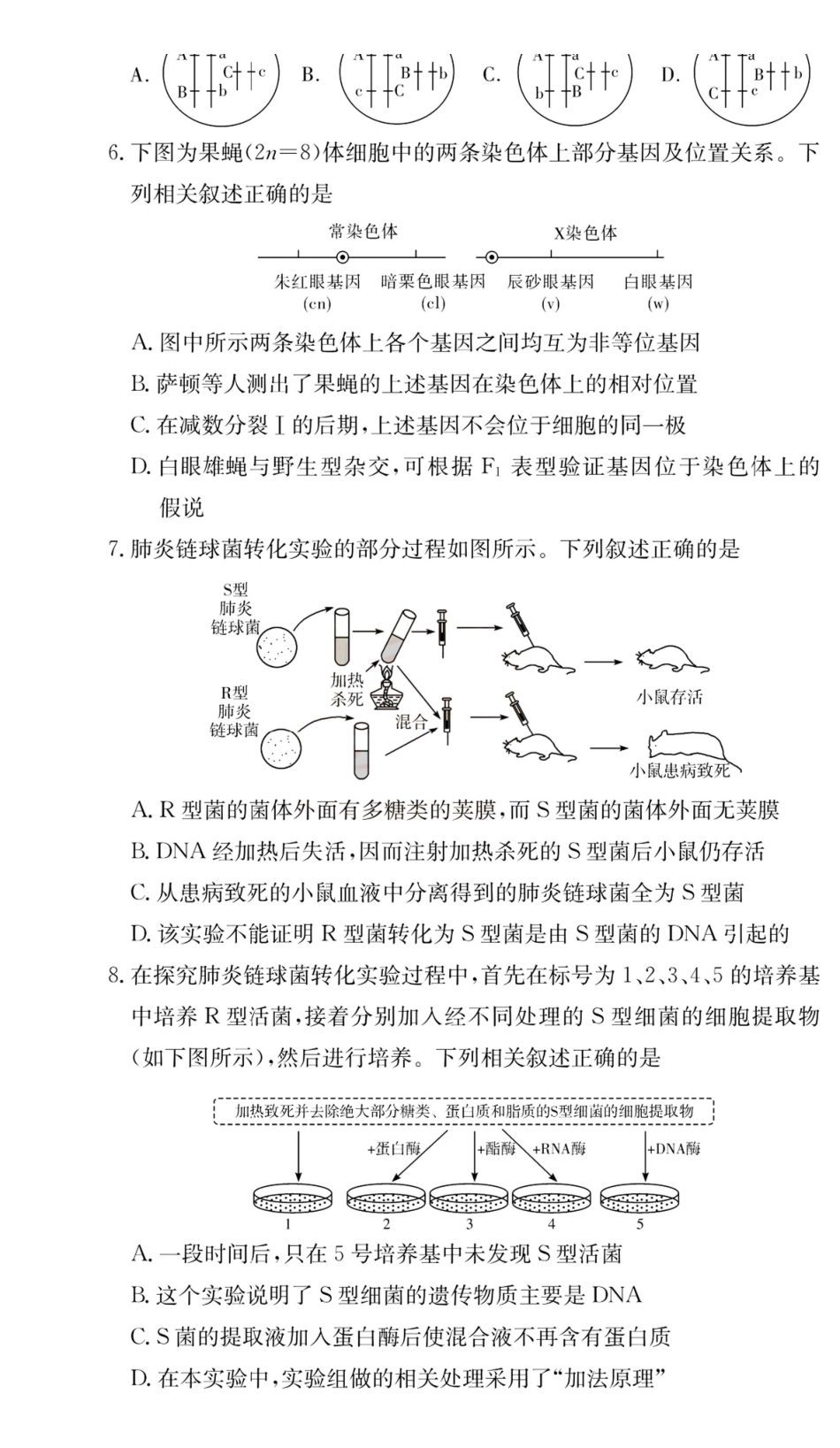 生物湖南长沙市第一中学2025-2026学年高一下学期第一次月考.pdf_第2页