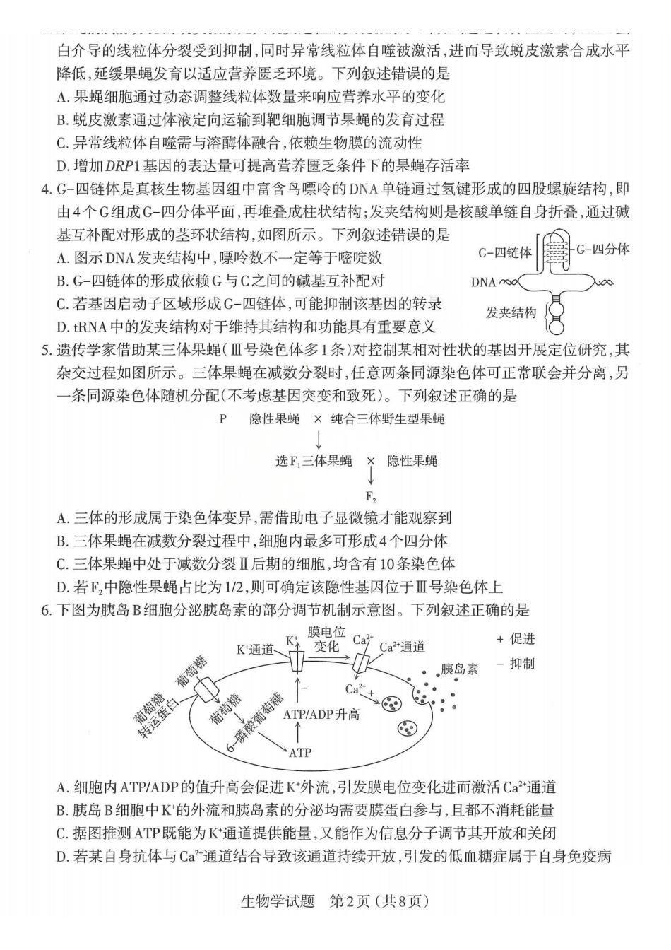 生物山西太原市2026年高三年级模拟考试(二)(太原高三二模)(4.22-4.24).pdf_第2页
