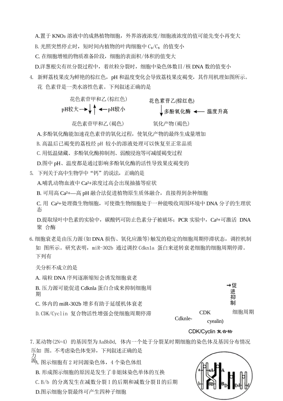 生物陕西咸阳市2026(年)届高三年级4月高考模拟检测(咸阳三模)(4.24-4.26).docx_第3页