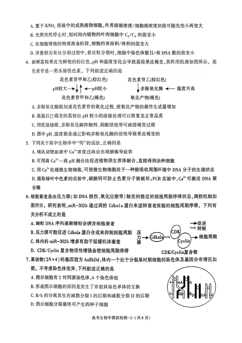 生物陕西咸阳市2026(年)届高三年级4月高考模拟检测(咸阳三模)(4.24-4.26).pdf_第2页
