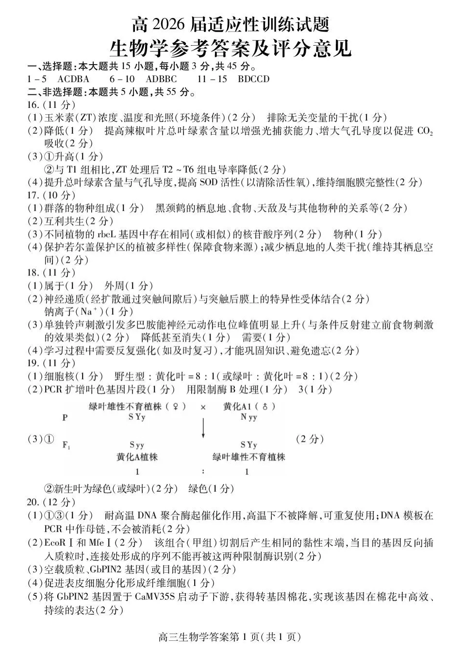 生物四川内江市高2026届高三年级适应性训练试题(内江三诊)(4.22-4.24)(1).docx_第1页