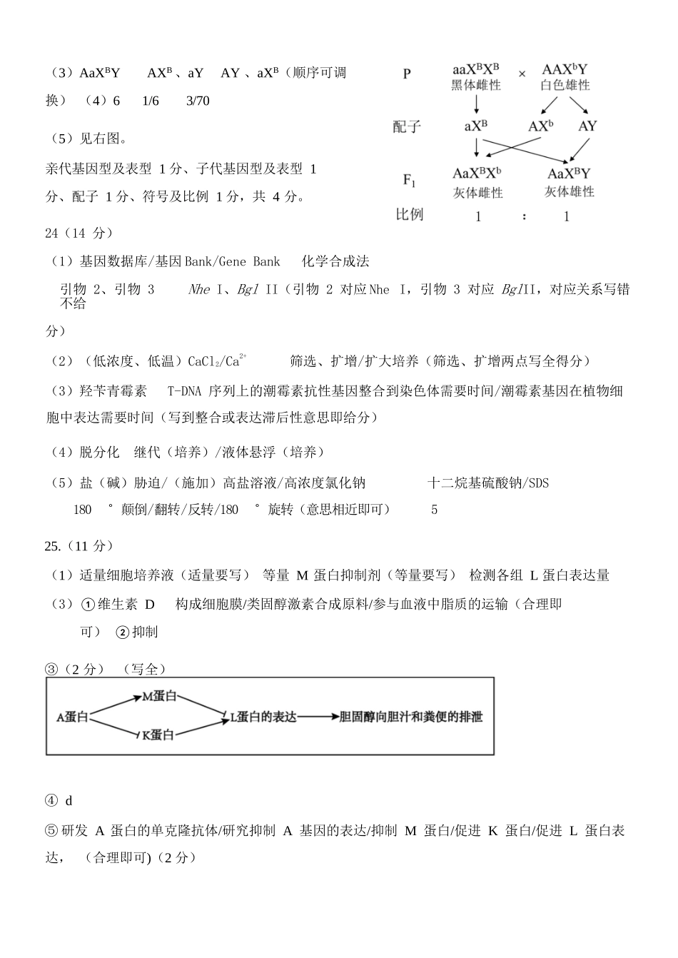 生物浙江温州市环大罗山联盟2025学年第二学期高二年级期中联考(4.22-4.24)(1).docx_第3页