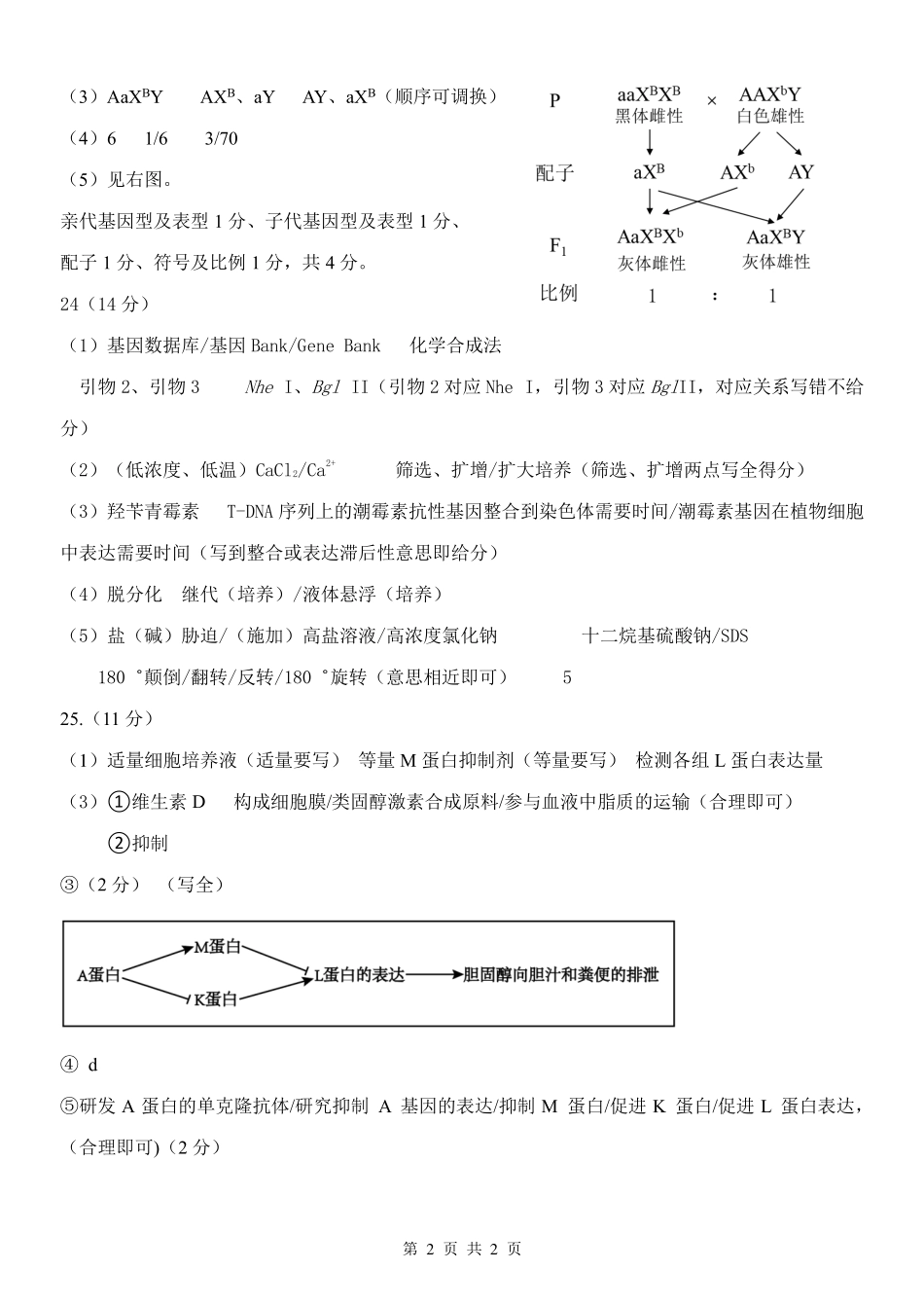 生物浙江温州市环大罗山联盟2025学年第二学期高二年级期中联考(4.22-4.24)(1).pdf_第2页