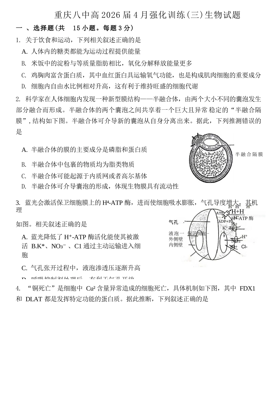 生物重庆市重庆八中高2026届4月强化训练(三)(4.24-4.25).docx_第1页
