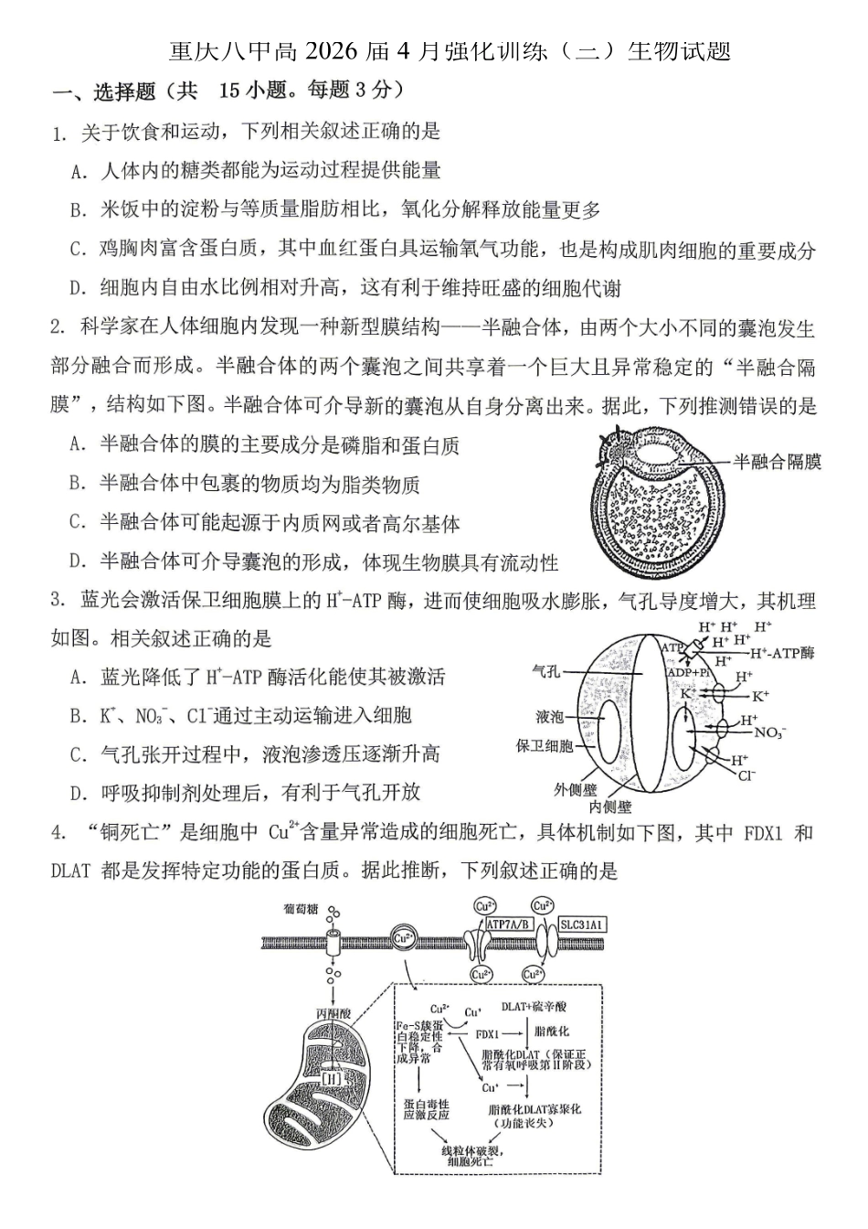 生物重庆市重庆八中高2026届4月强化训练(三)(4.24-4.25).pdf_第1页