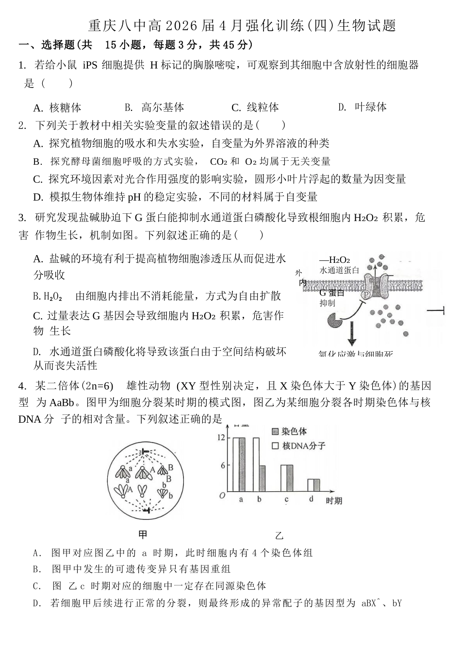 生物重庆市重庆八中高2026届4月强化训练(四)(4.24-4.25).docx_第1页