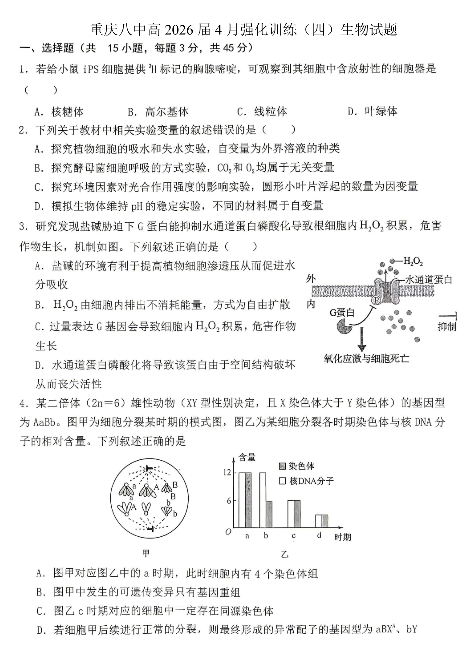 生物重庆市重庆八中高2026届4月强化训练(四)(4.24-4.25).pdf_第1页