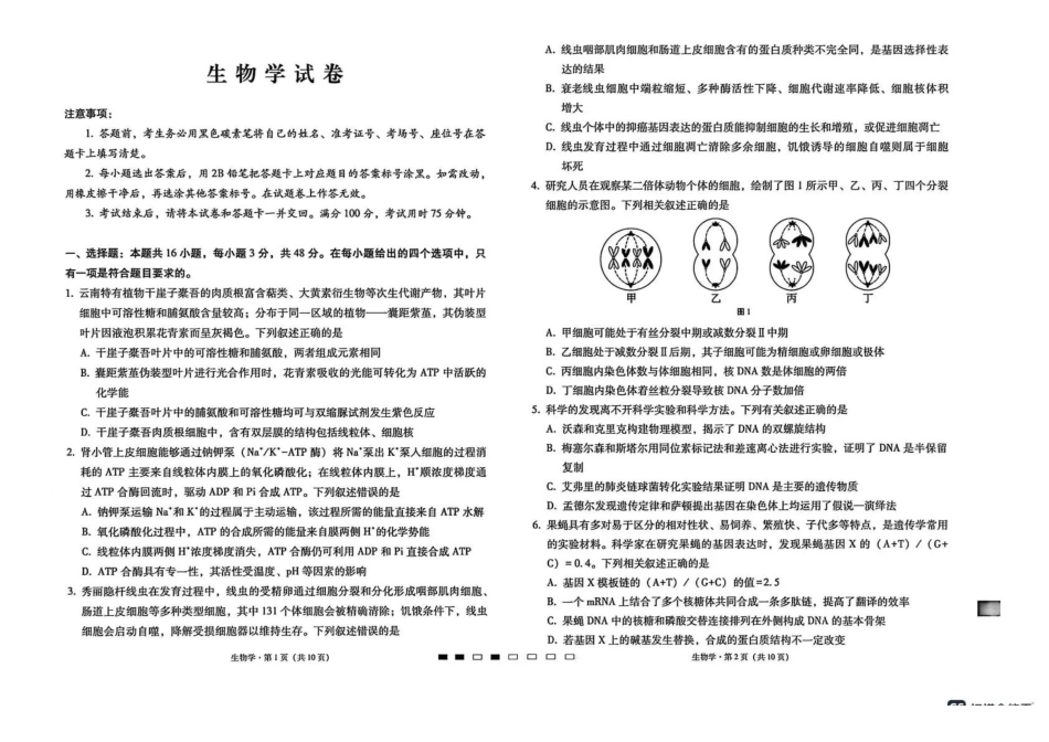 西南名校联盟2026届“3+3+3”高考备考诊断性联考(四)生物.pdf_第1页