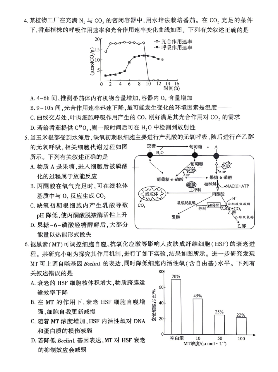 孝感市2026届高三年级第二次统一考试生物.pdf_第2页