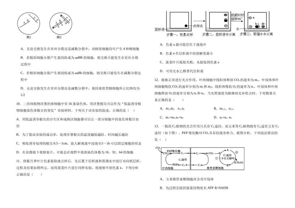 云南保山市腾冲市第八中学2024-2025学年高一下学期5月期中考试生物试卷（有答案）_副本.docx_第3页