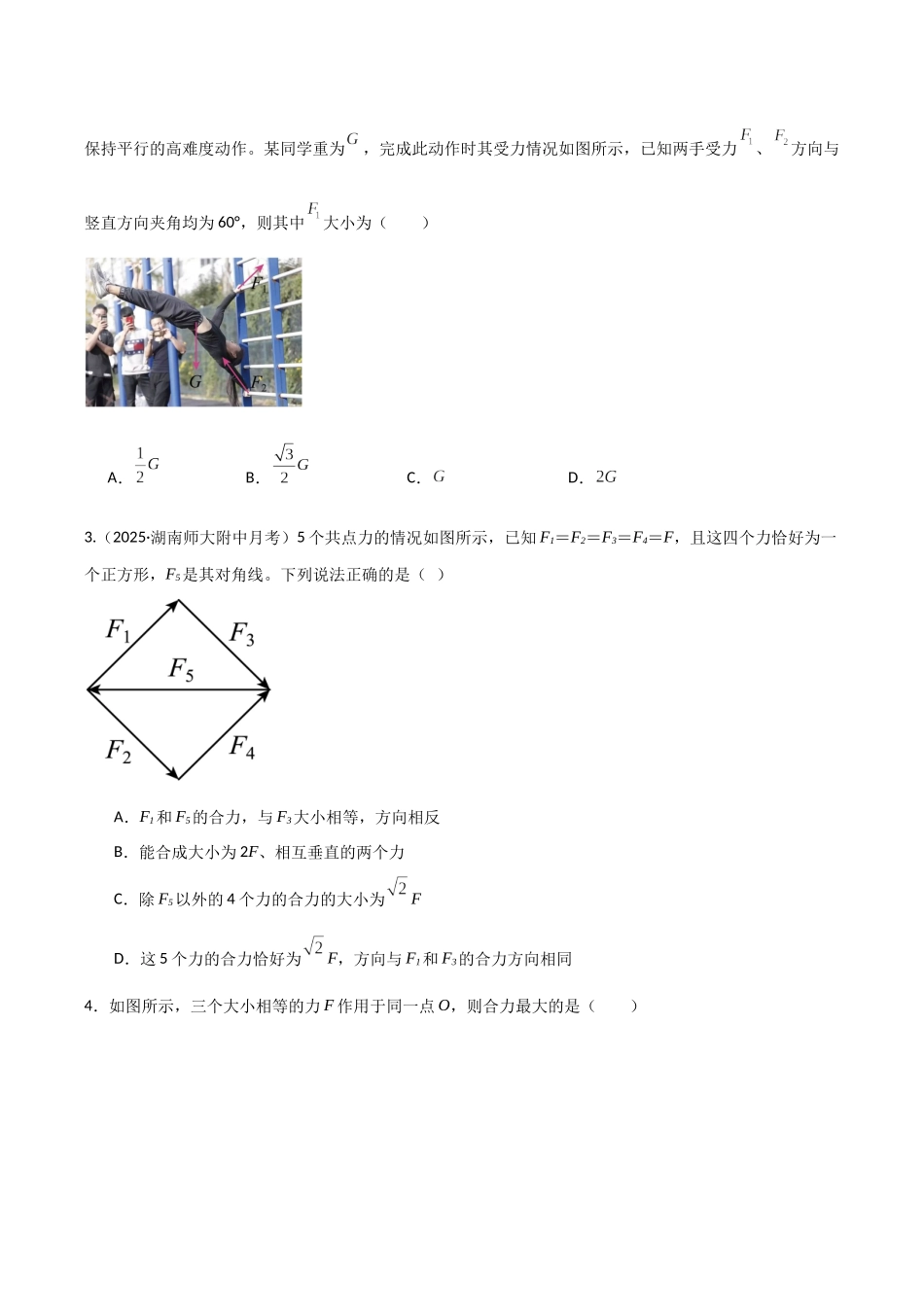 第06讲  力的合成与分解（专项训练）（湖南专用）（学生版）.docx_第2页