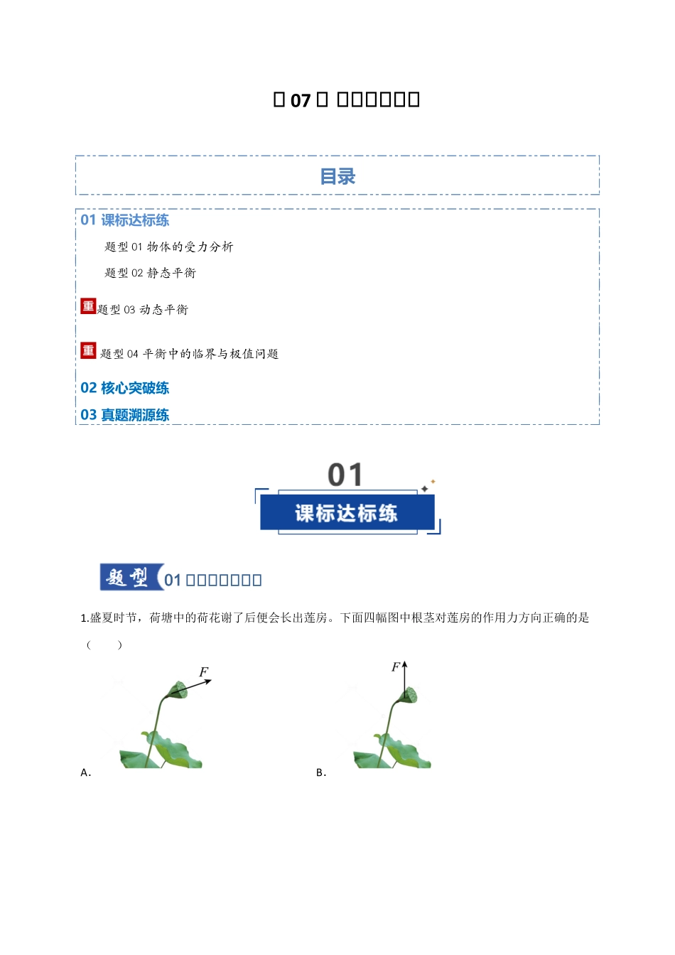 第07讲 共点力的平衡（专项训练）（四川专用）（教师版）.docx_第1页