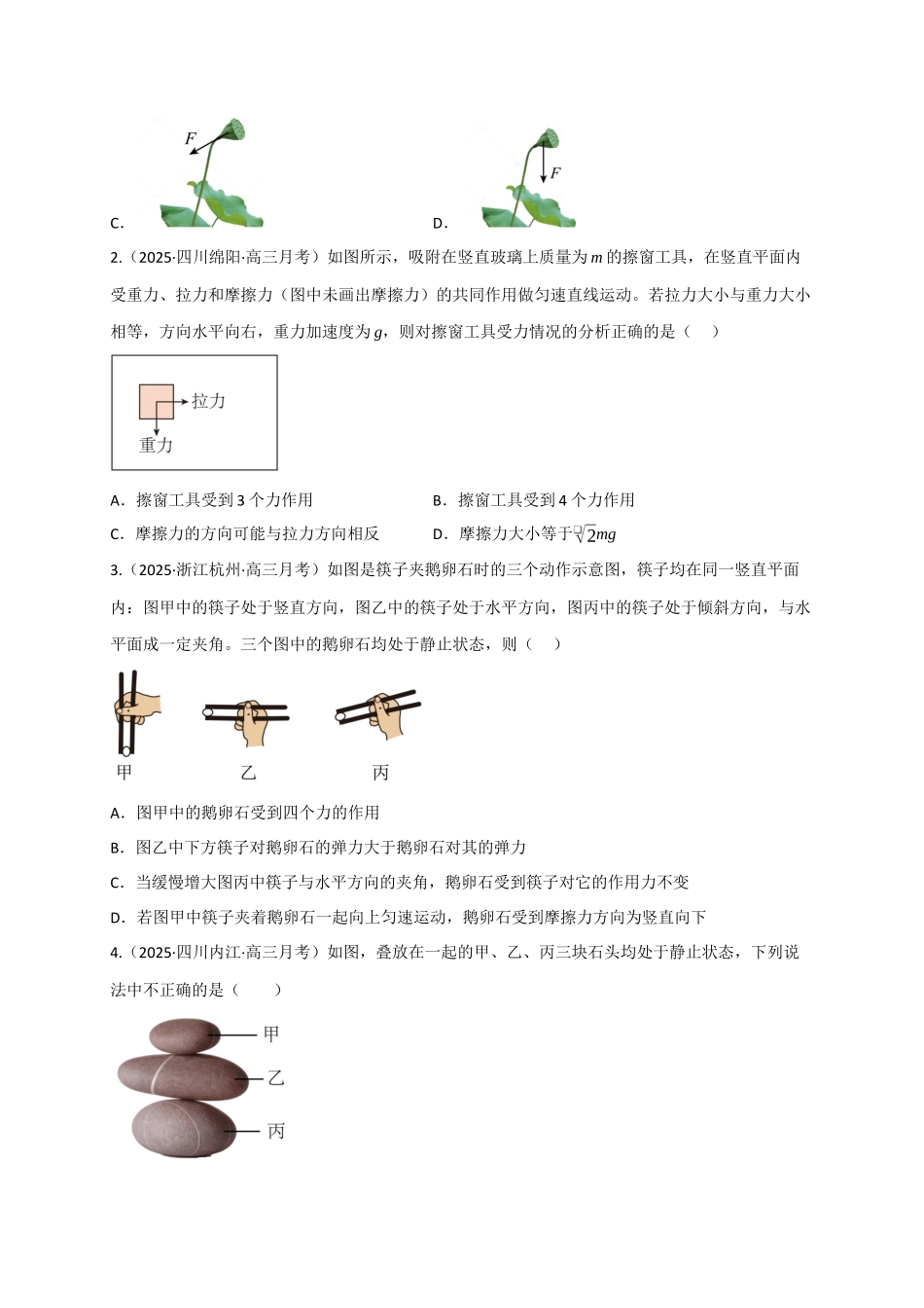 第07讲 共点力的平衡（专项训练）（四川专用）（学生版）.docx_第2页