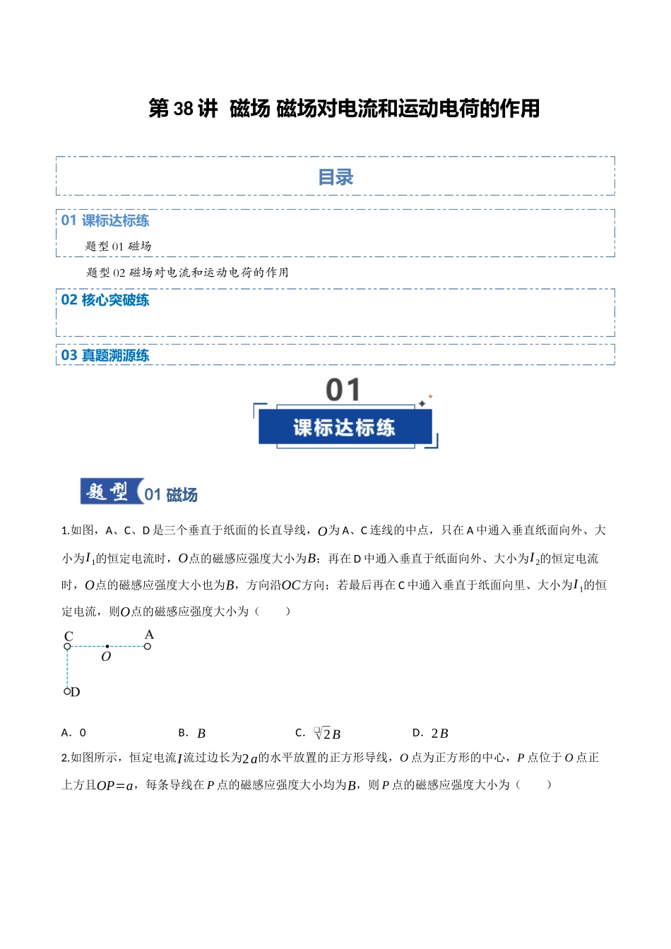 第38讲 磁场 磁场对电流和运动电荷的作用（专项训练）（四川专用）（学生版）.docx_第1页