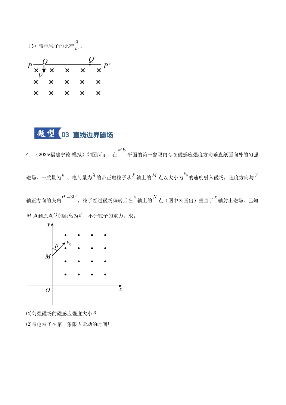 第38讲 洛伦兹力 带电粒子在匀强磁场中的运动(专项训练)(福建专用)(学生版).docx_第3页