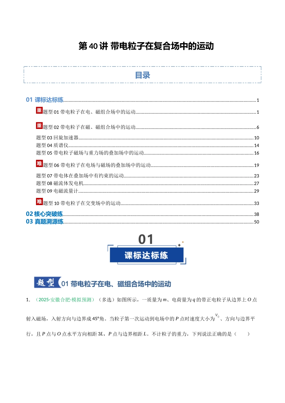 第40讲 带电粒子在复合场中的运动(专项训练)(安徽专用)(教师版).docx_第1页