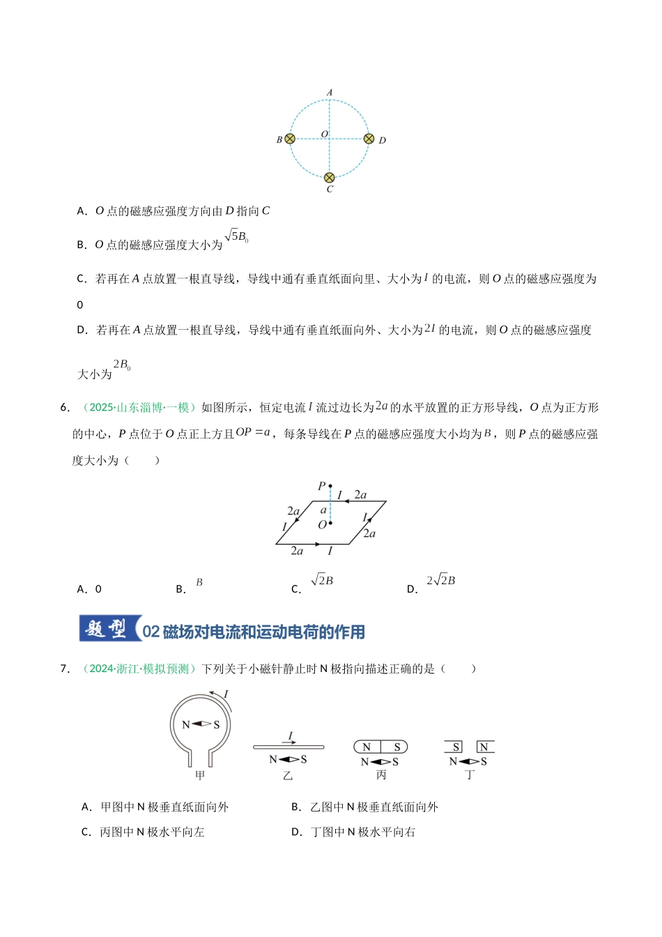 第44讲 磁场的描述与磁场对电流的作用（专项训练）（黑吉辽蒙专用）（学生版）.docx_第3页