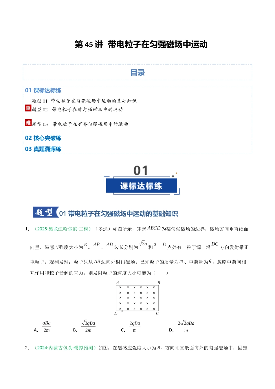 第45讲  带电粒子在匀强磁场中运动（专项训练）（黑吉辽蒙专用）（学生版）.docx_第1页
