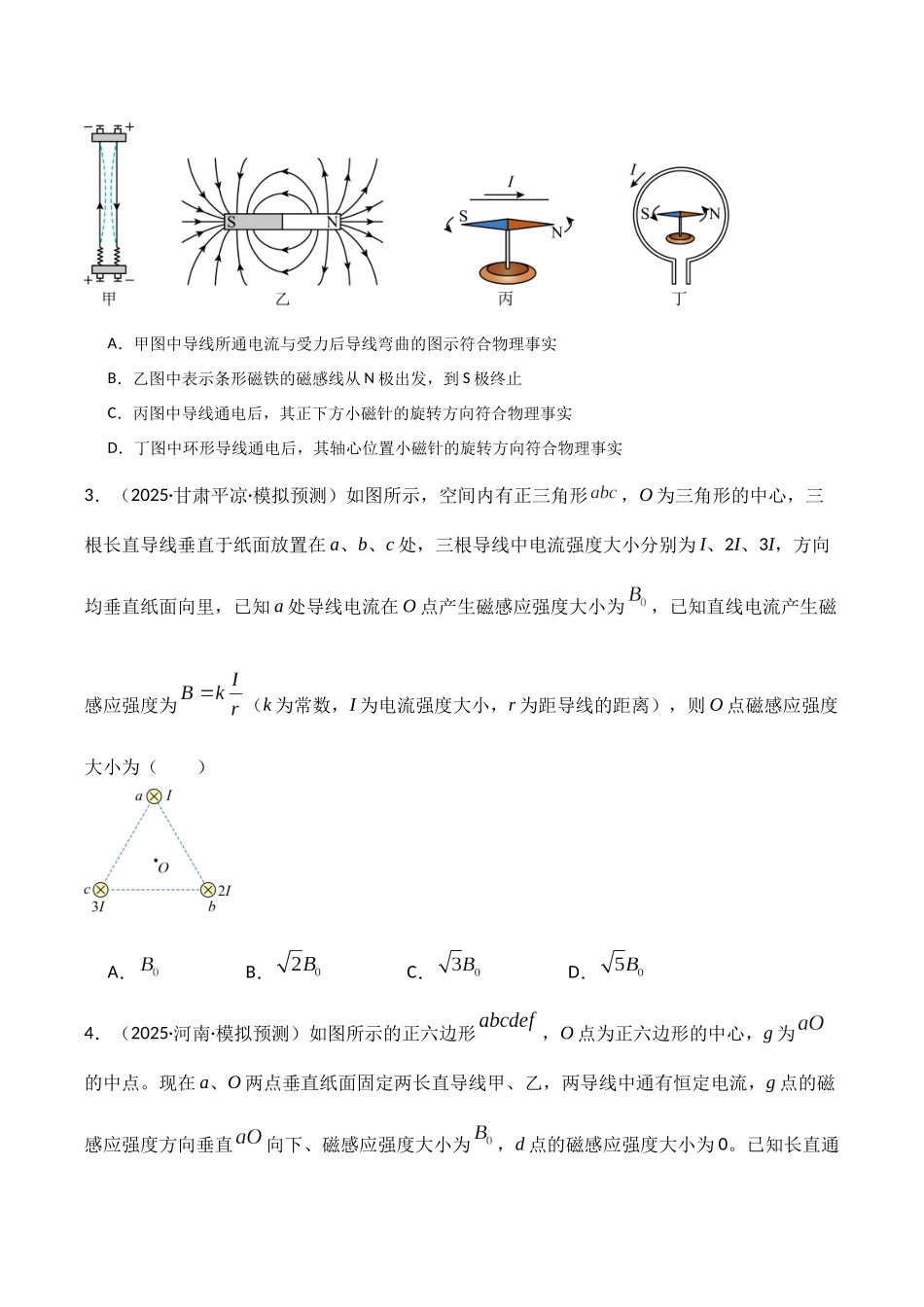 第46讲 磁场及其对电流的作用(专项训练)(湖南专用)(学生版).docx_第2页