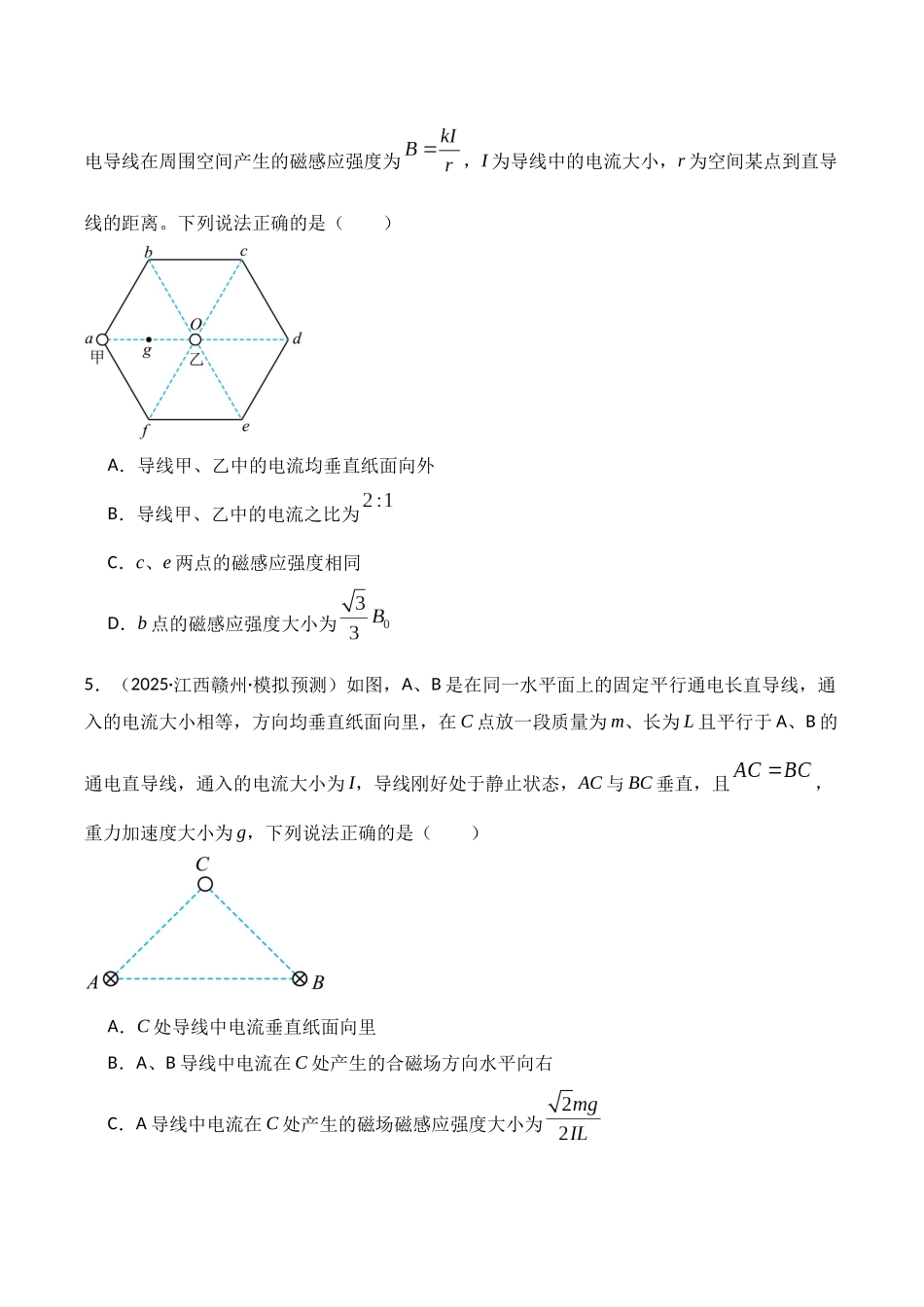 第46讲 磁场及其对电流的作用(专项训练)(湖南专用)(学生版).docx_第3页