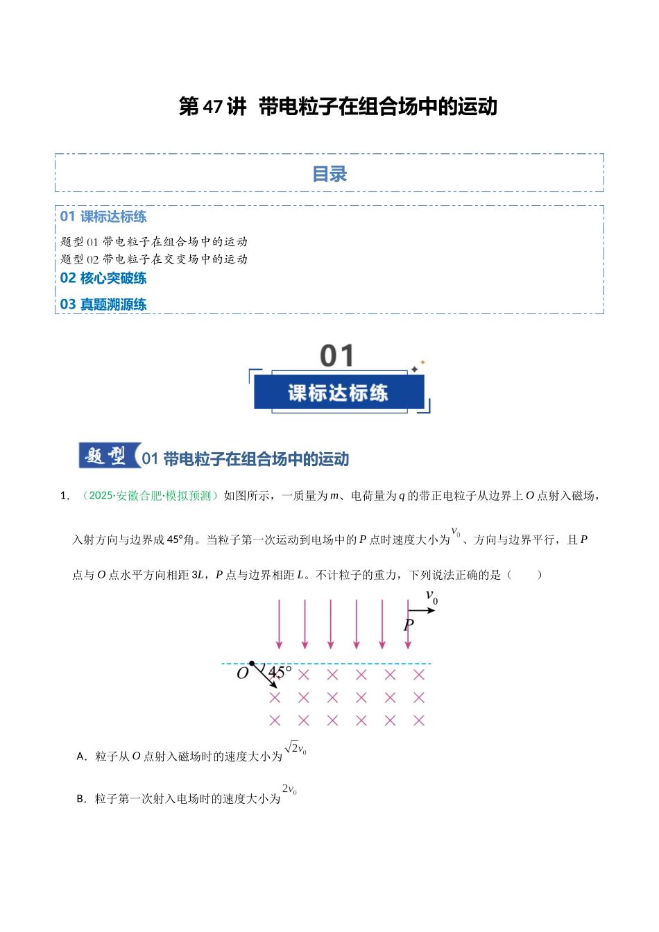 第47讲 带电粒子在组合场中的运动(专项训练)(黑吉辽蒙专用)(教师版).docx_第1页