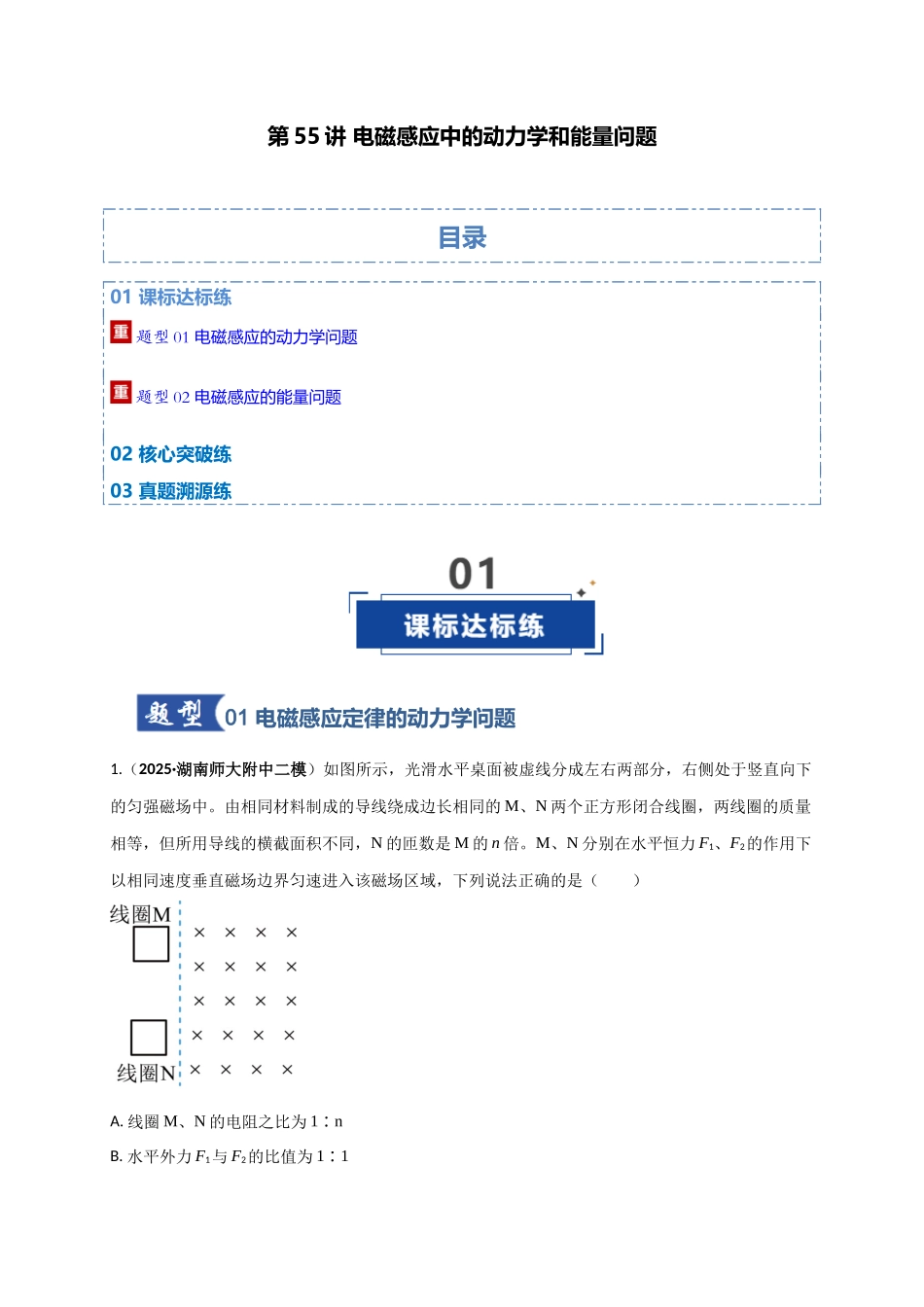第55讲 电磁感应中的动力学和能量问题（专项训练）（湖南用）（学生版）.docx_第1页