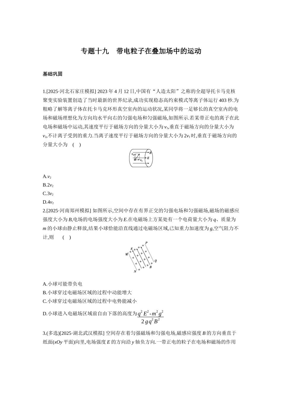 高考物理一轮复习专题练习 专题十九 带电粒子在叠加场中的运动.docx_第1页