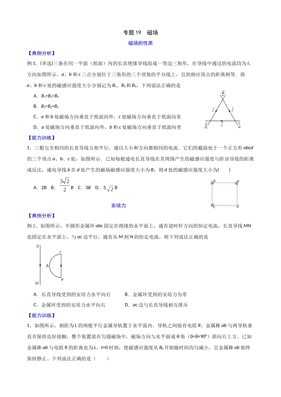 高三物理夯实基础专题训练19：磁场.docx_第1页